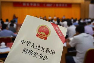 專業信息咨詢服務 構筑數字時代的感知安全屏障